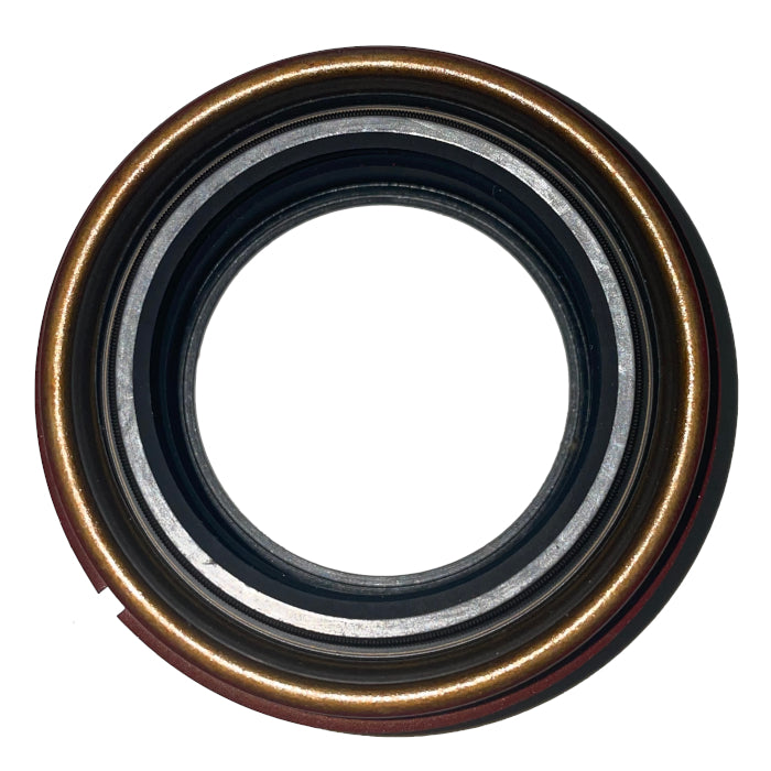 SKF 22029 Oil Seal