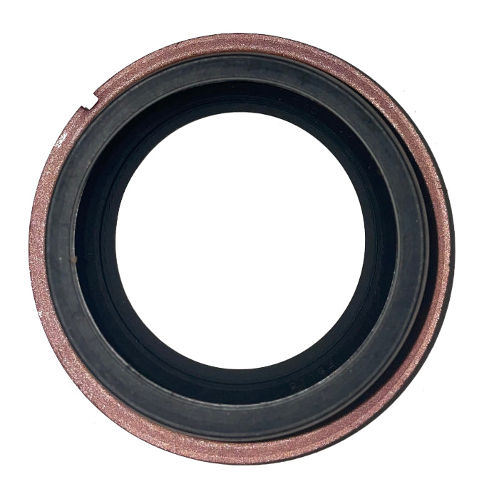 SKF 22029 Oil Seal